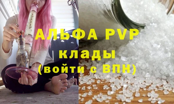 винт Надым